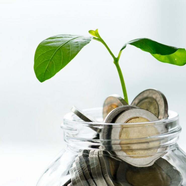 Green economy jar with money and growing plant