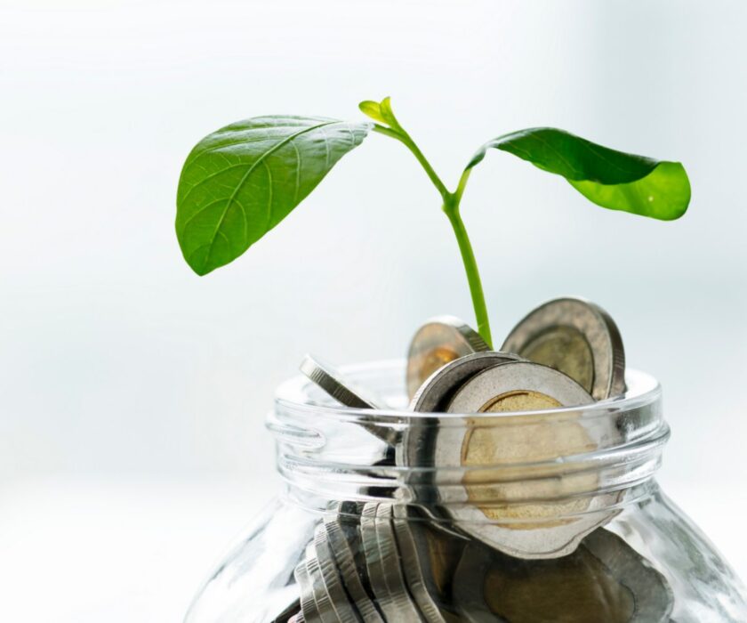 Green economy jar with money and growing plant